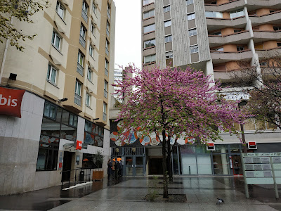 SG à Paris