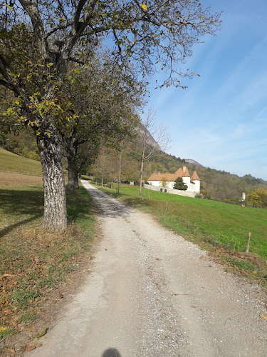 attractions Château du Fayet Barraux