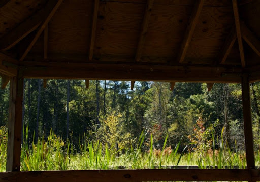 Nature Preserve «Melvin L. Newman Wetlands Center», reviews and photos, 2755 Freeman Rd, Hampton, GA 30228, USA