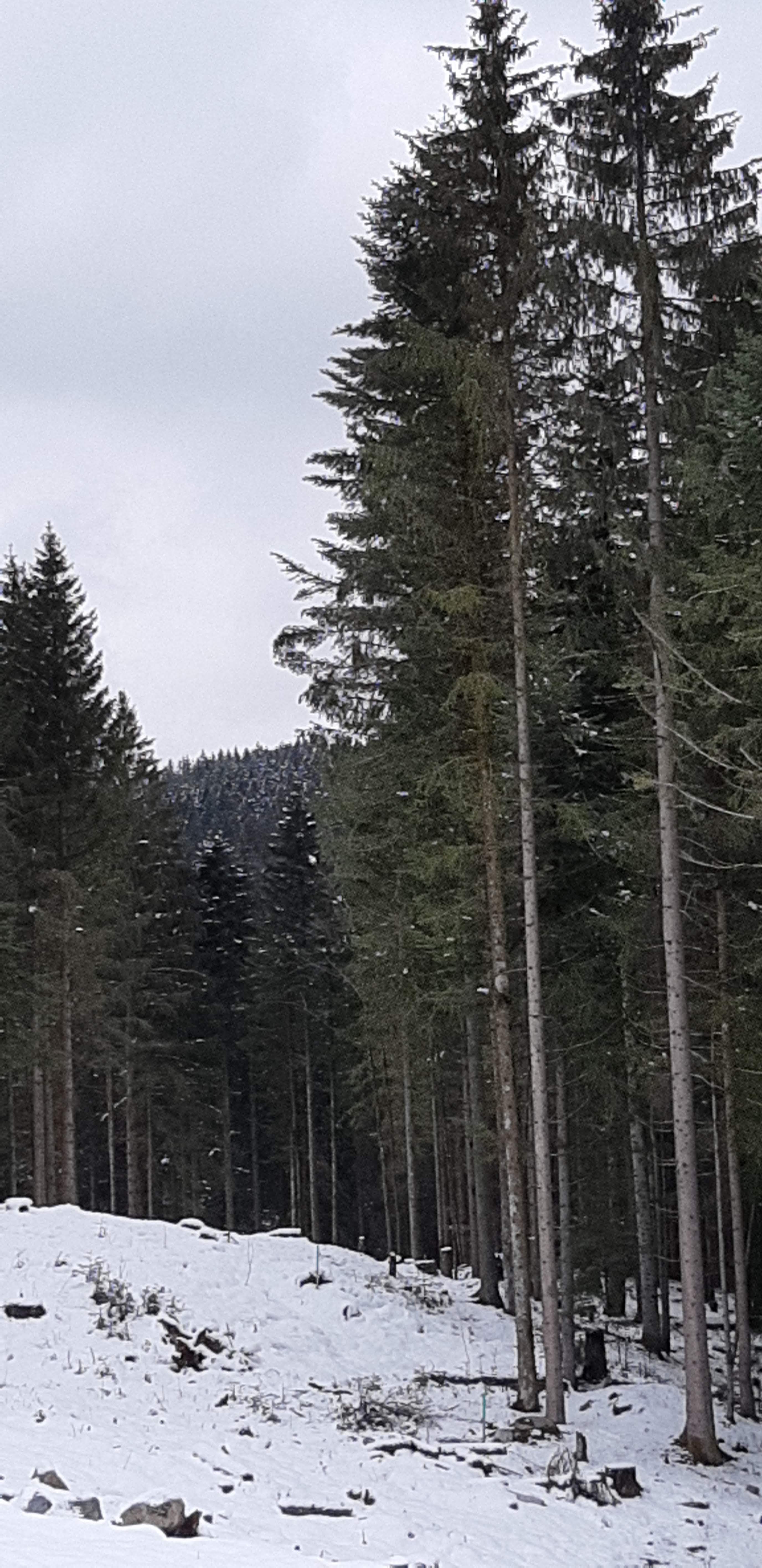 Photo n° 12 de l'avis de betty.o fait le 14/04/2019 à 10:33