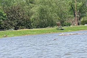 Deer Lake Pond image