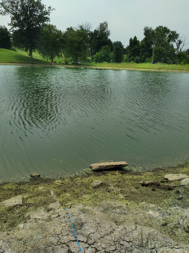 Golf Resort «Tanglewood Golf Course», reviews and photos, 245 Tanglewood Ct, Taylorsville, KY 40071, USA