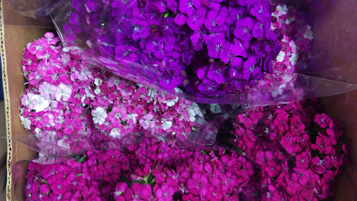 Florist «Flowers By Snellings», reviews and photos, 23 N Braddock St, Winchester, VA 22601, USA