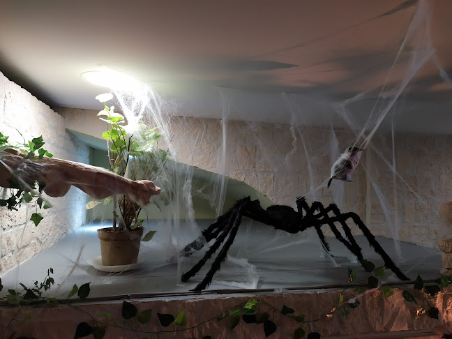 Comentarii opinii despre LES GRIMOIRES DE MORGANE