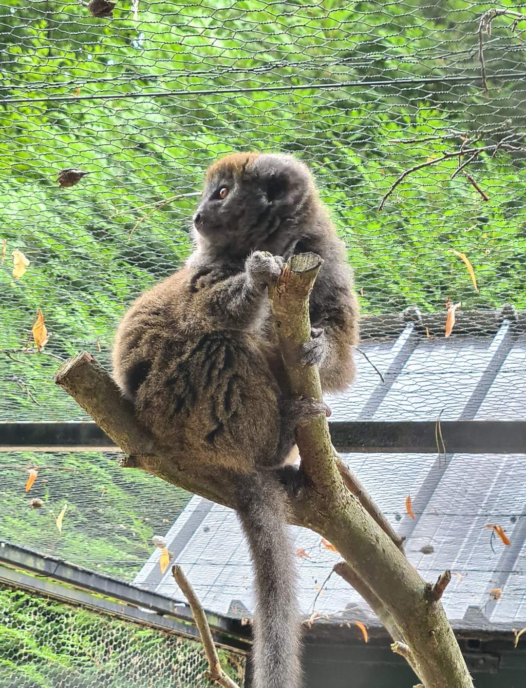Photo n° 25 de l'avis de Maïté.e fait le 03/08/2022 à 19:24