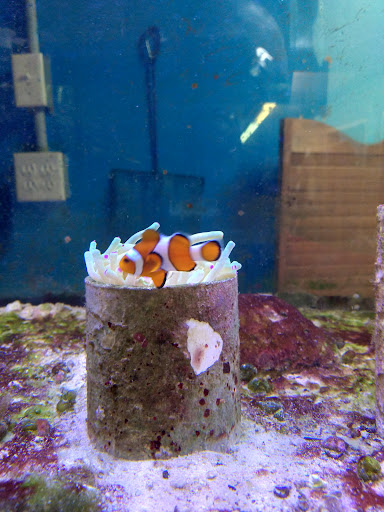 Pet Store «Marineland Pet Center», reviews and photos, 412 Oak Forest Dr, Onalaska, WI 54650, USA