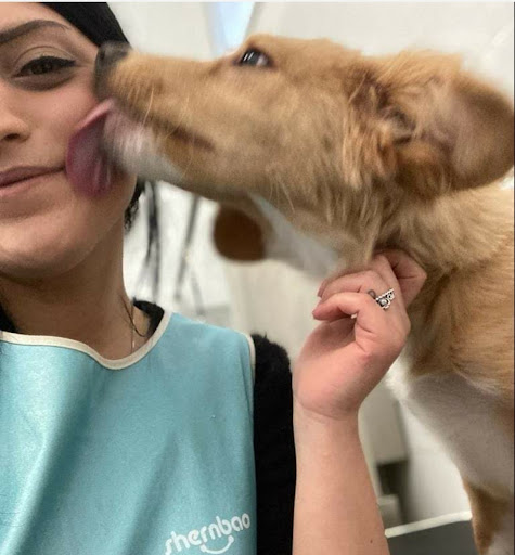 Pensioni per cani e dog hotel a Gli amici di Anny