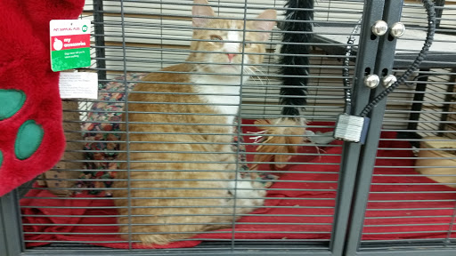 Pet Supply Store «Pet Supplies Plus», reviews and photos, 1150 N Court St #2A, Medina, OH 44256, USA