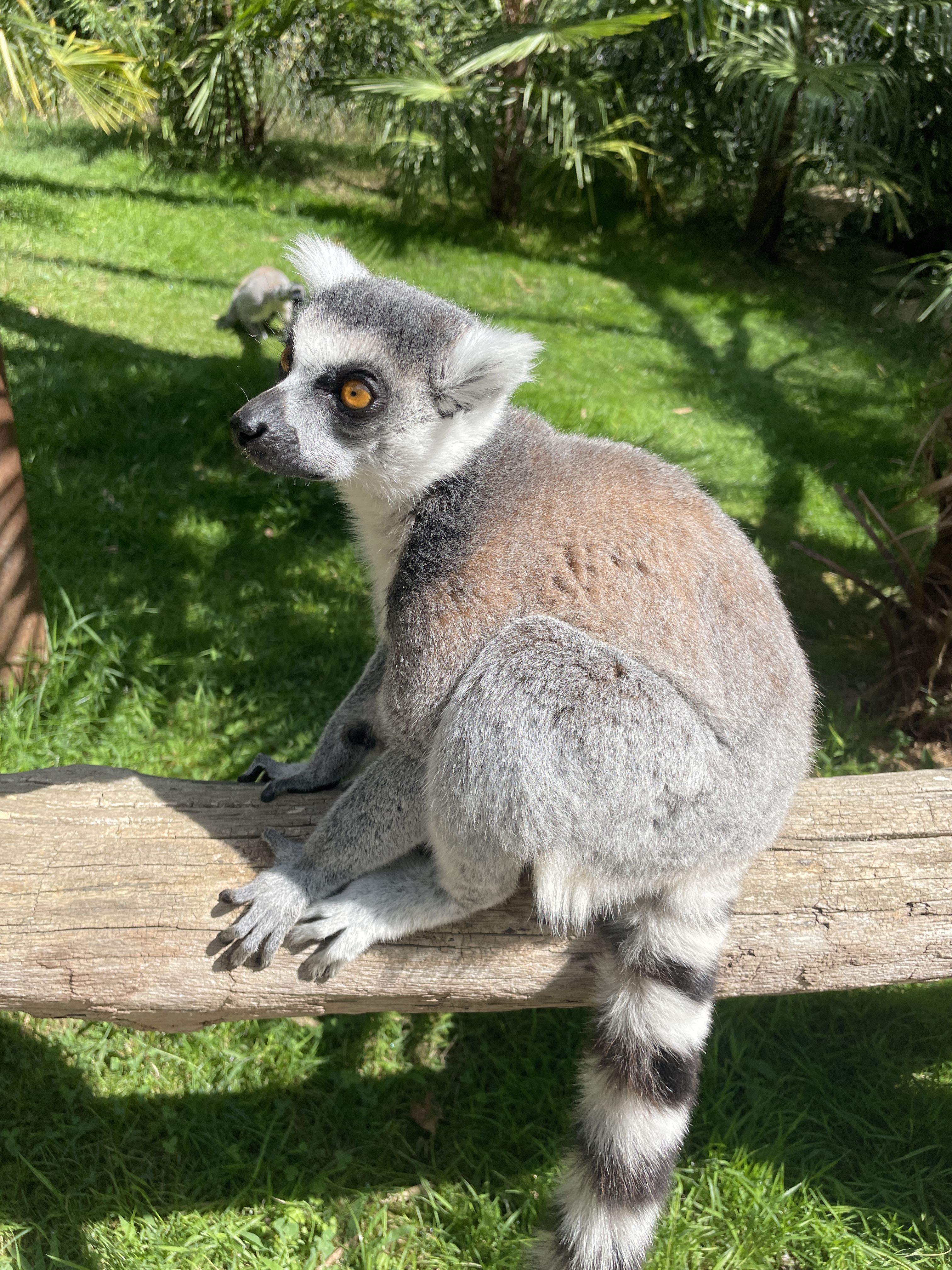 Photo n° 1 de l'avis de Vincent. fait le 06/08/2023 à 19:38