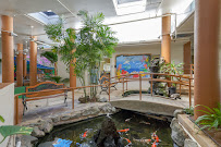 Hale Nani Rehab & Nursing Center - Photo 9 - Car repair in Honolulu, HI, Honolulu