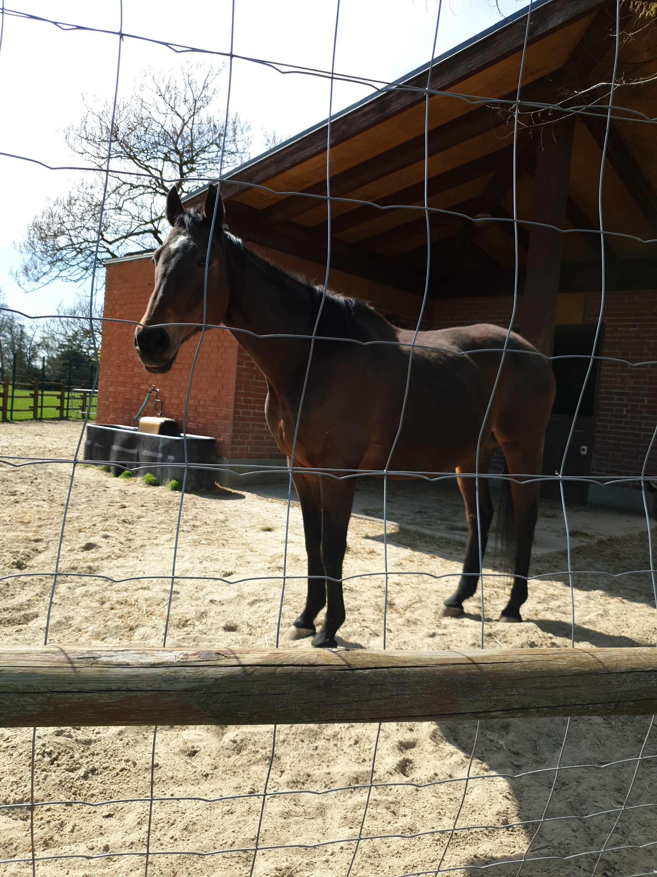 Photo n° 6 de l'avis de Malika.. fait le 30/03/2019 à 12:57