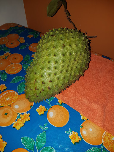 Florería Alejandra – Col Apatzingán