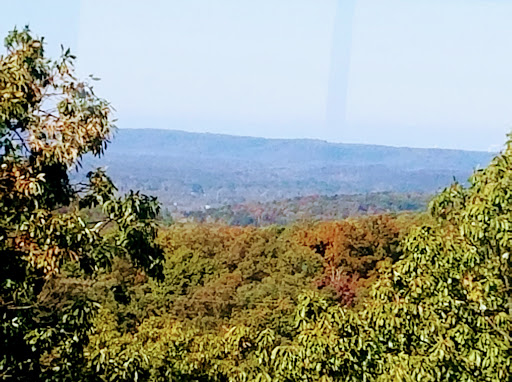 Blood Donation Center «Talecris Plasma Resources», reviews and photos