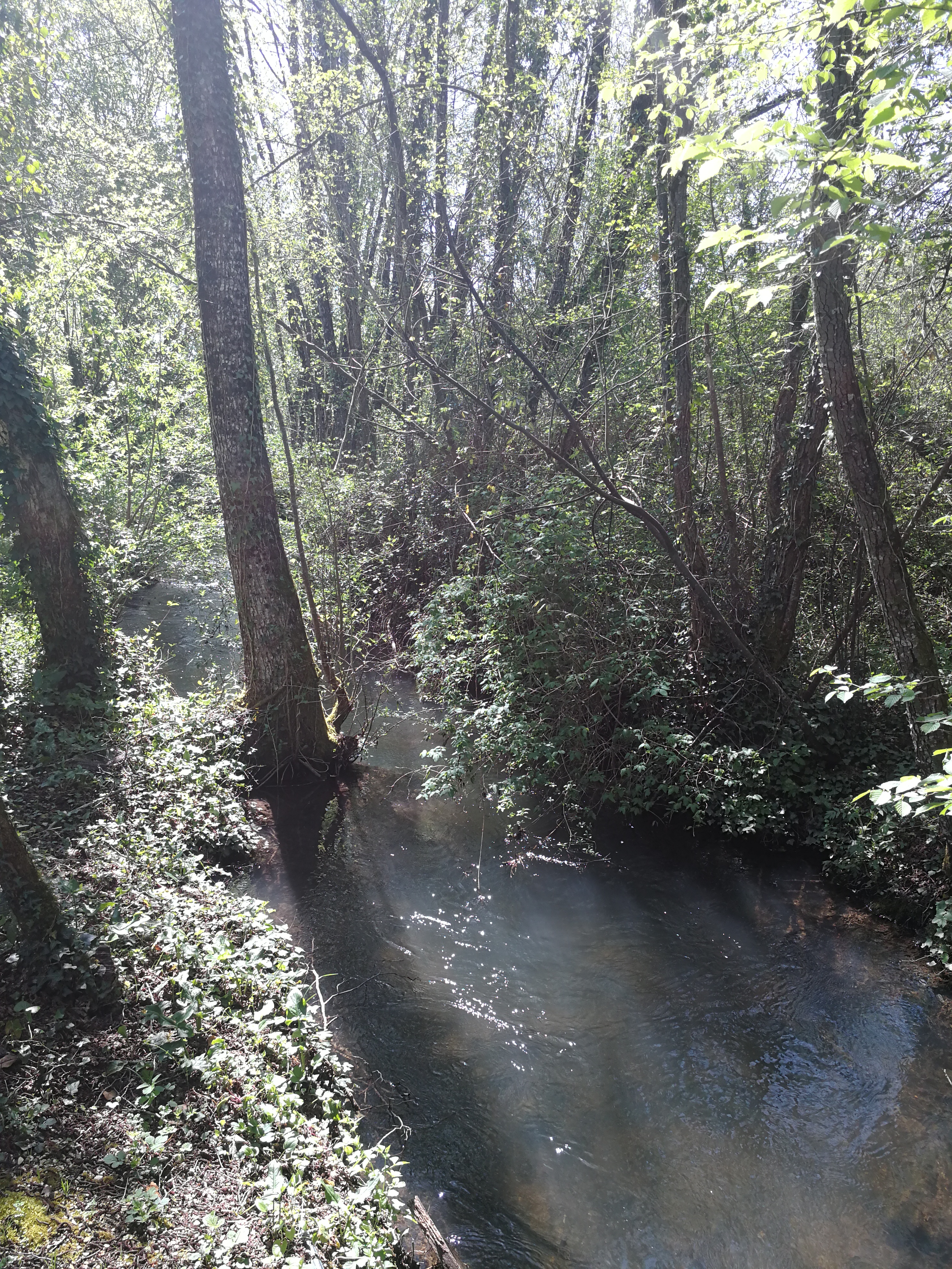 Photo n° 17 de l'avis de Sostaire.e fait le 23/04/2018 à 19:06