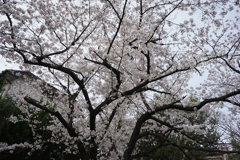 止々呂渕公園