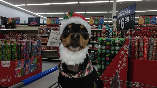 Lynchburg Veterinary Clinic image