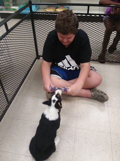 Pet Supply Store «Pet Palace Inc», reviews and photos, 253 Scranton Carbondale Hwy, Scranton, PA 18508, USA