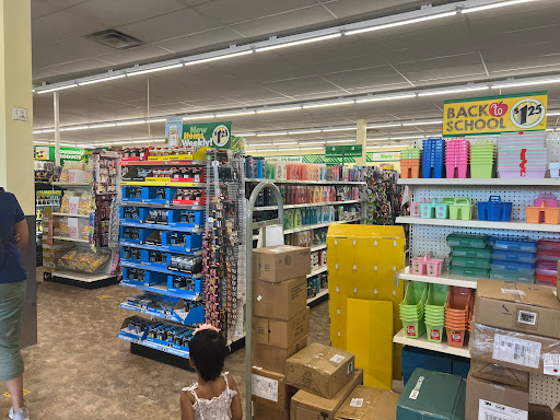Dollar Store «Dollar Tree», reviews and photos, 8491 Grand River Ave, Brighton, MI 48116, USA