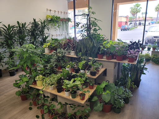 PlanterSam image