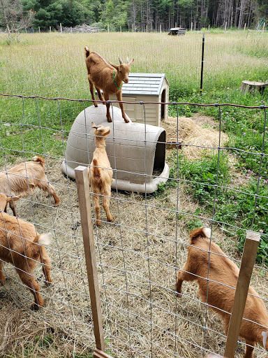 Turning Page Farm Brewery