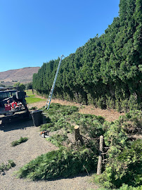 The Tall Guys - Photo 6 - Car repair in , Yakima