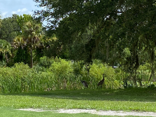 Country Club «Inverness Golf & Country Club», reviews and photos, 3150 S Country Club Dr, Inverness, FL 34450, USA