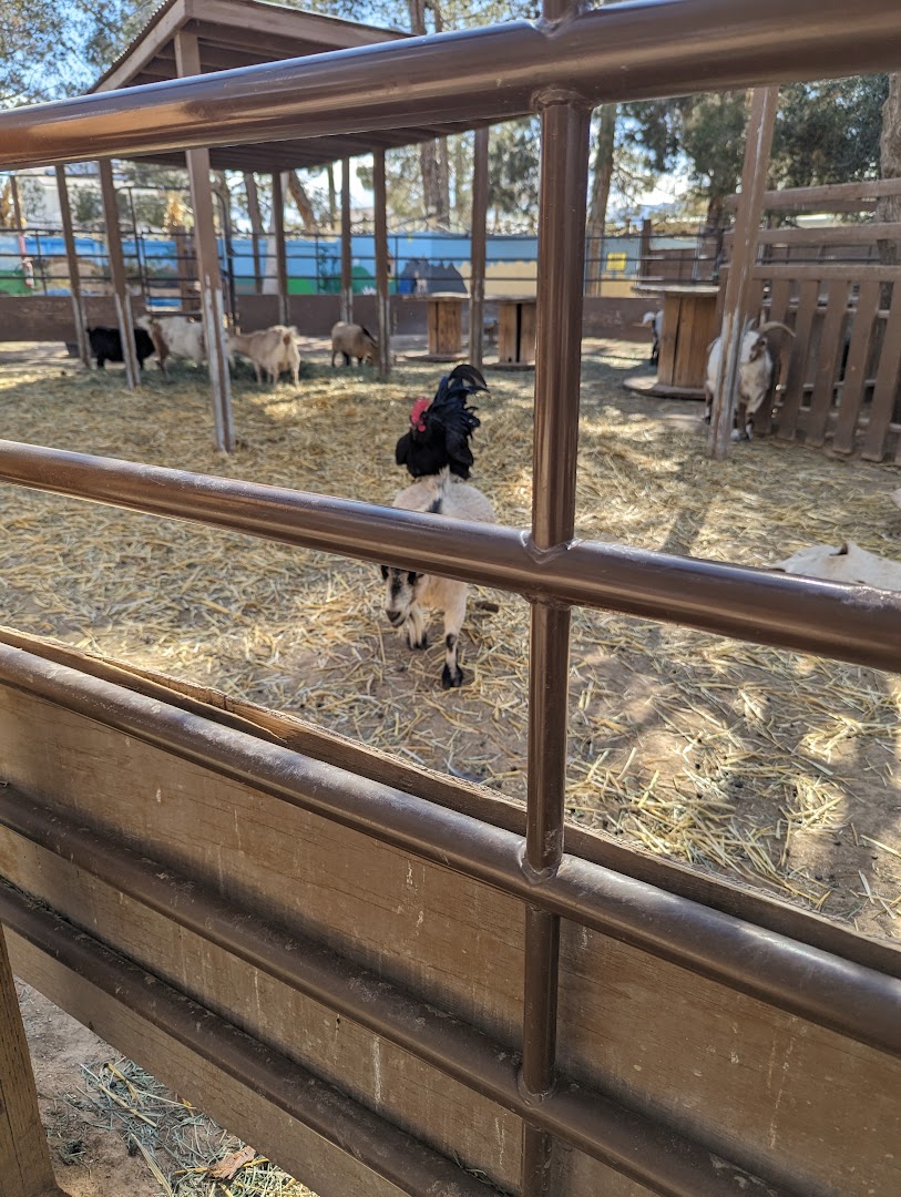 Barn Buddies Rescue