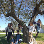 Photo n°1 de l'avis de Paola.i fait le 10/04/2022 à 15:13 sur le  Agriturismo Colleoli à Loc. Colleoli, Palaia