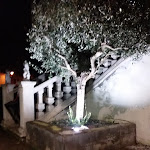 Photo n°7 de l'avis de Antonella. fait le 28/12/2023 à 08:26 sur le  Ristorante Pizzeria Villa Contarini à Monselice