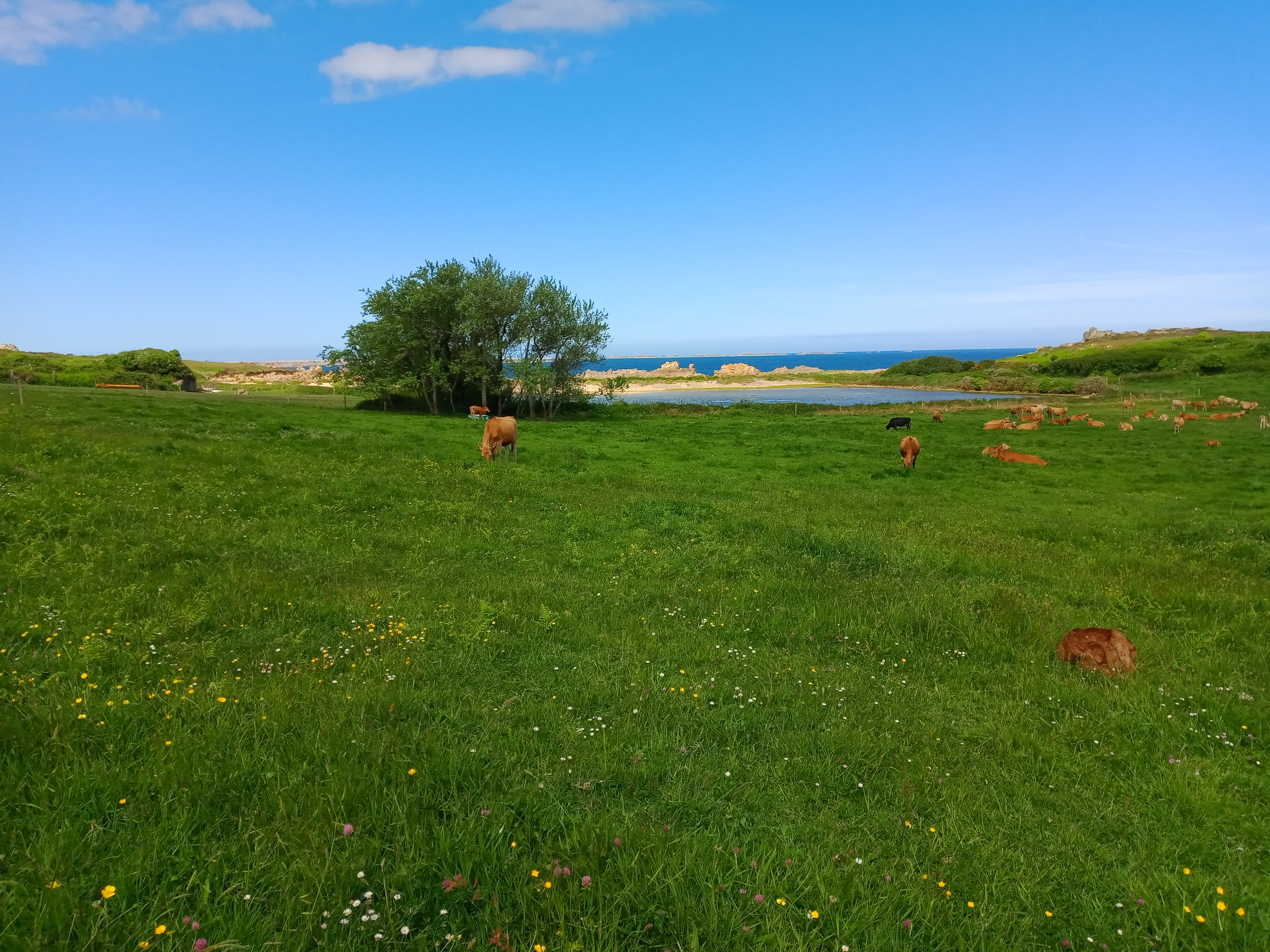 Photo n° 2 de l'avis de Amélia.o fait le 15/05/2022 à 07:35