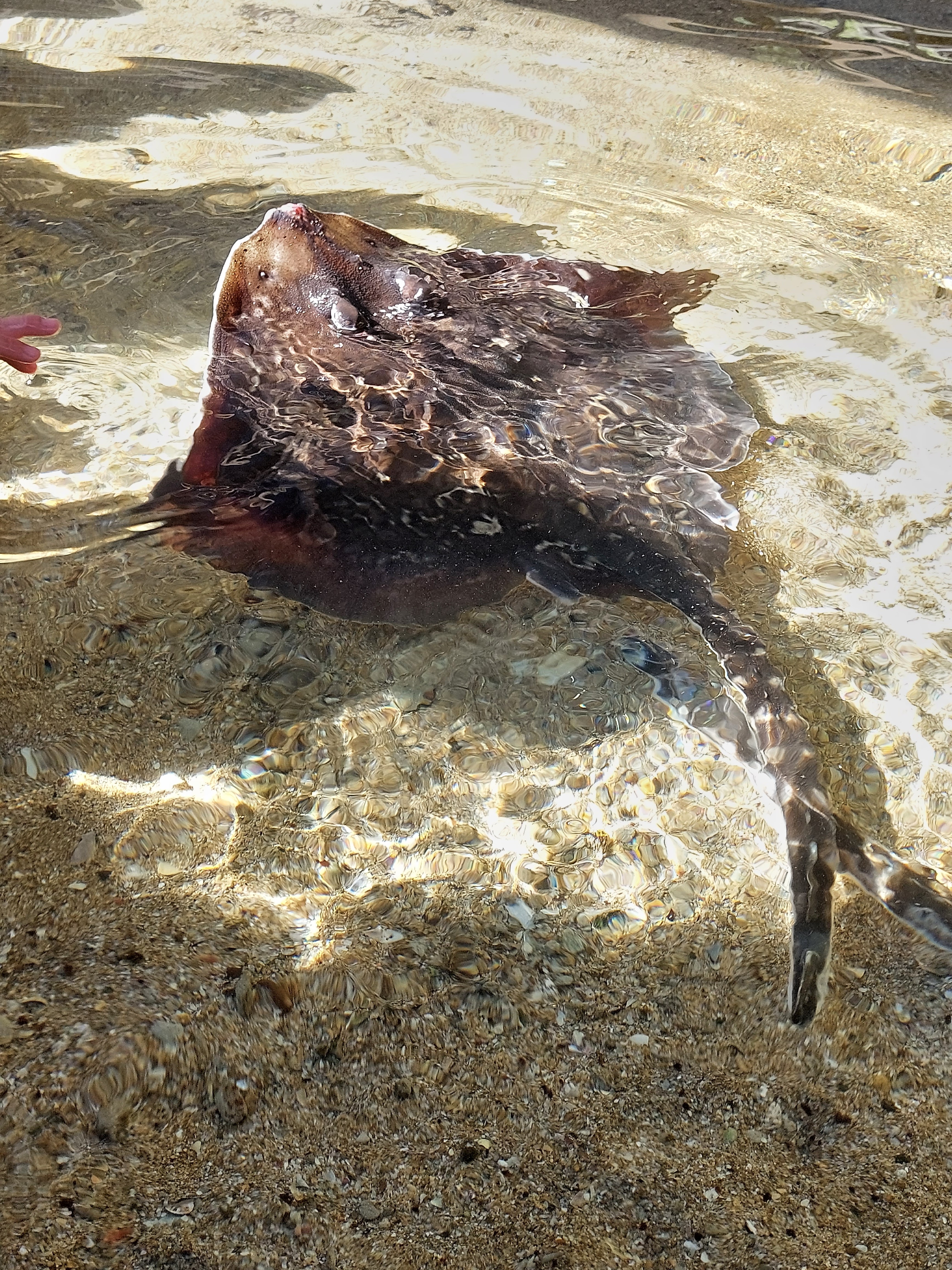 Photo n° 1 de l'avis de Marion.e fait le 08/08/2023 à 09:51
