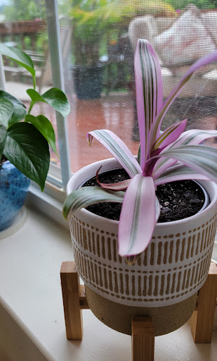 Craft Store «Michaels», reviews and photos, 20902 Frederick Rd, Germantown, MD 20876, USA