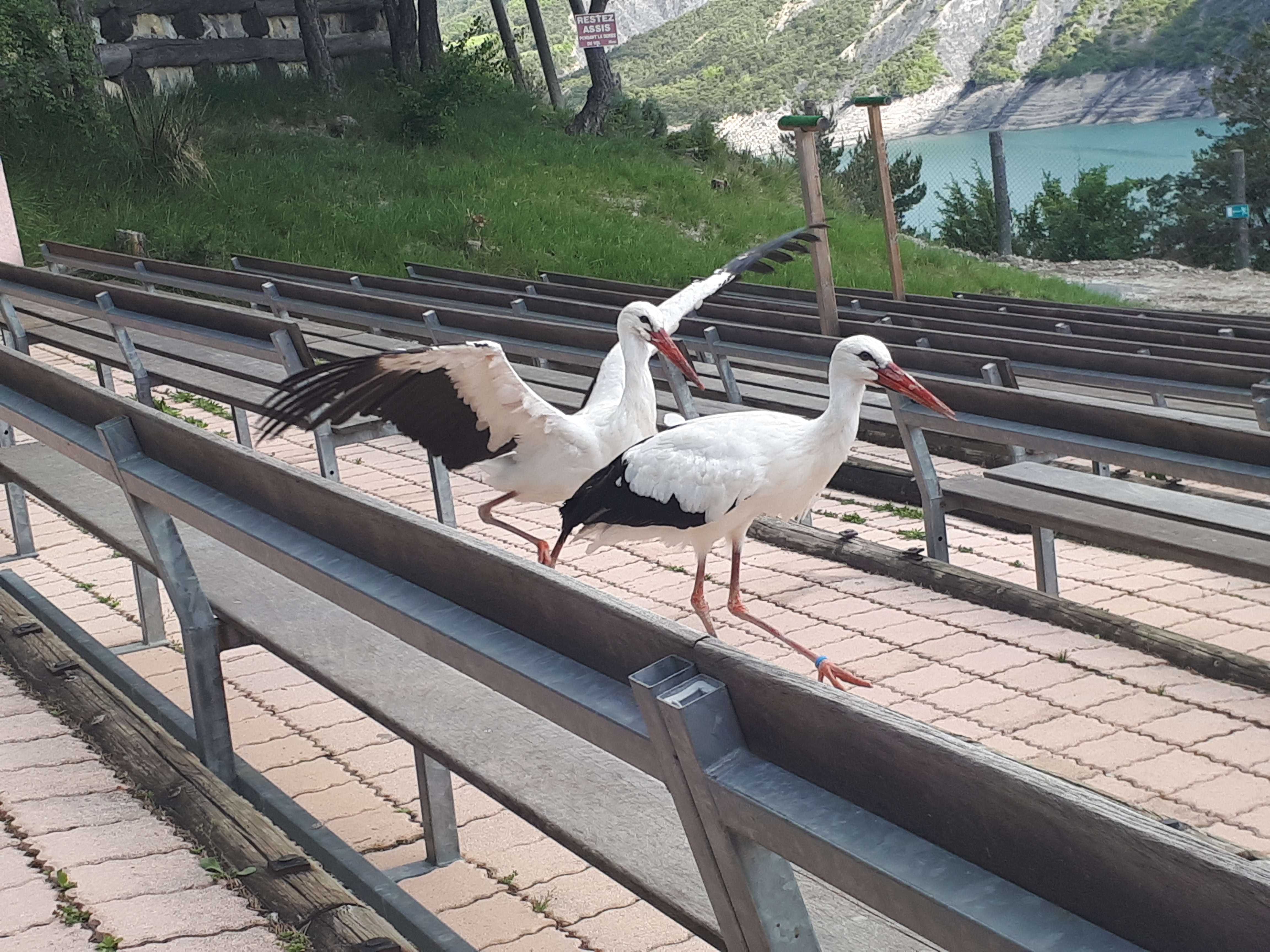 Photo n° 9 de l'avis de Nath.� fait le 16/05/2018 à 21:32