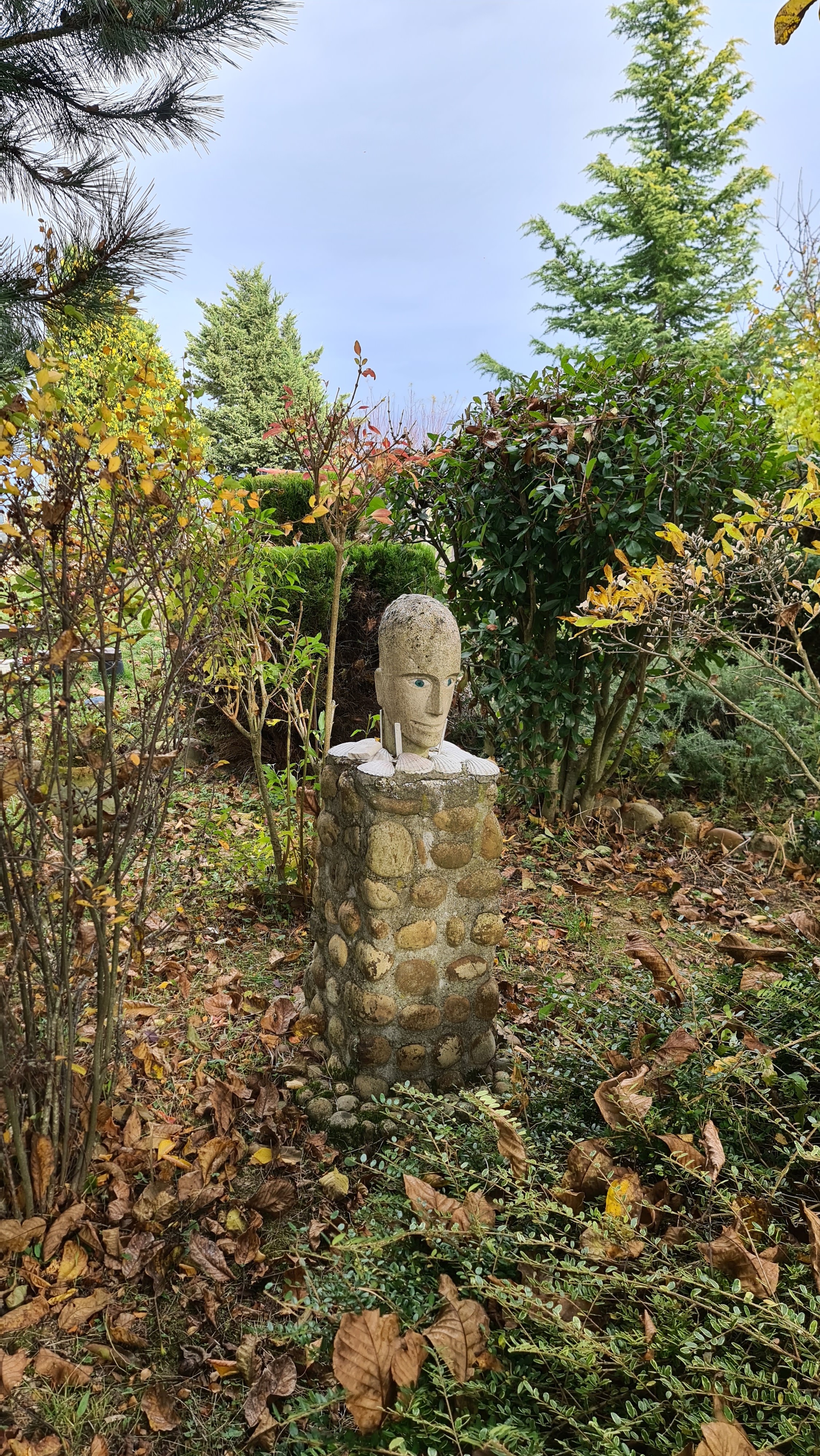 Photo n° 5 de l'avis de jean.r fait le 30/10/2021 à 22:01