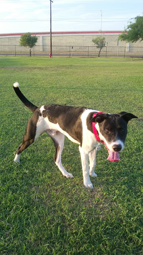 Park «Victor Park», reviews and photos, 1601 S M St, Harlingen, TX 78550, USA