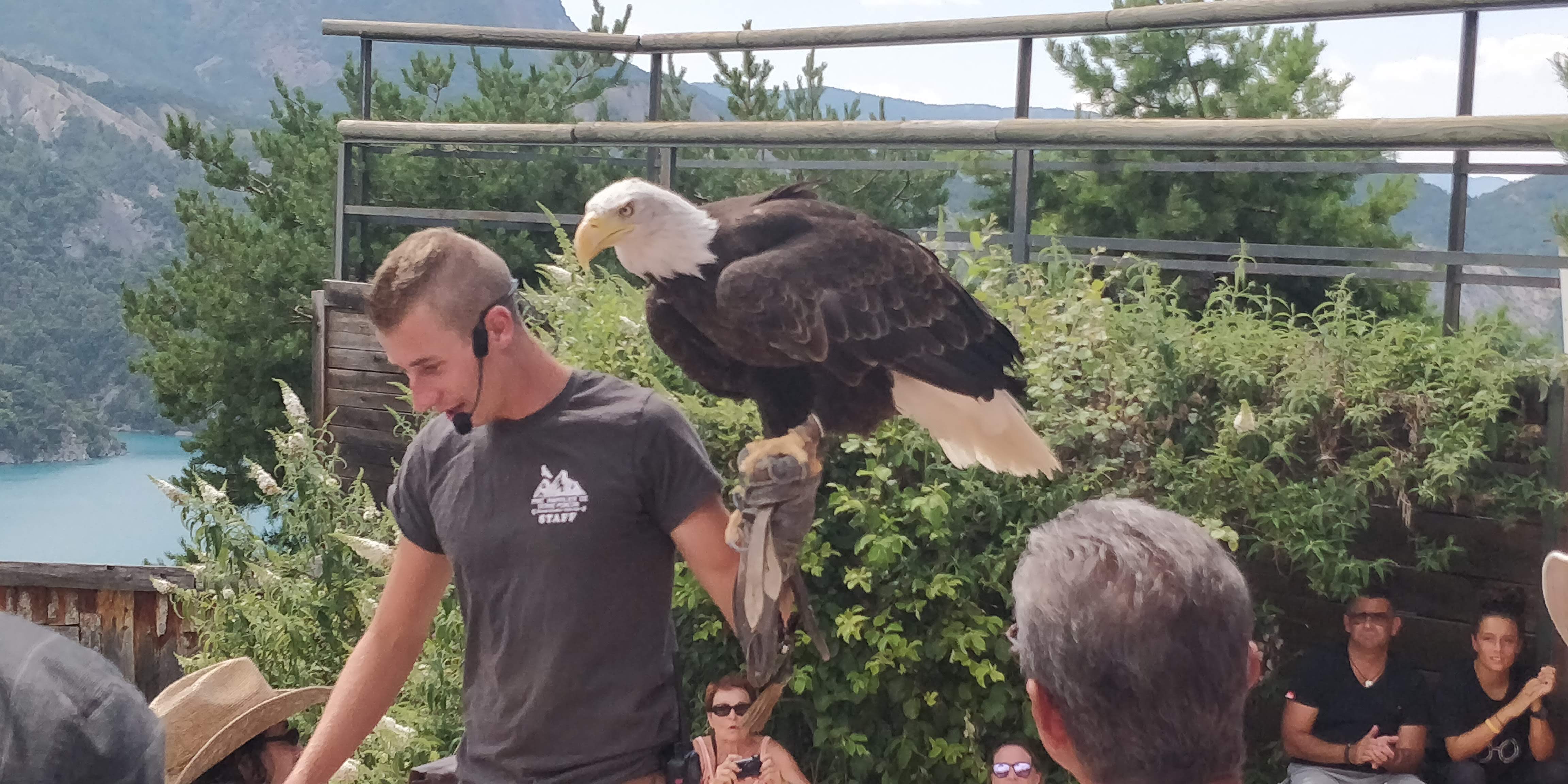 Photo n° 16 de l'avis de Sylvain.e fait le 02/08/2018 à 06:25