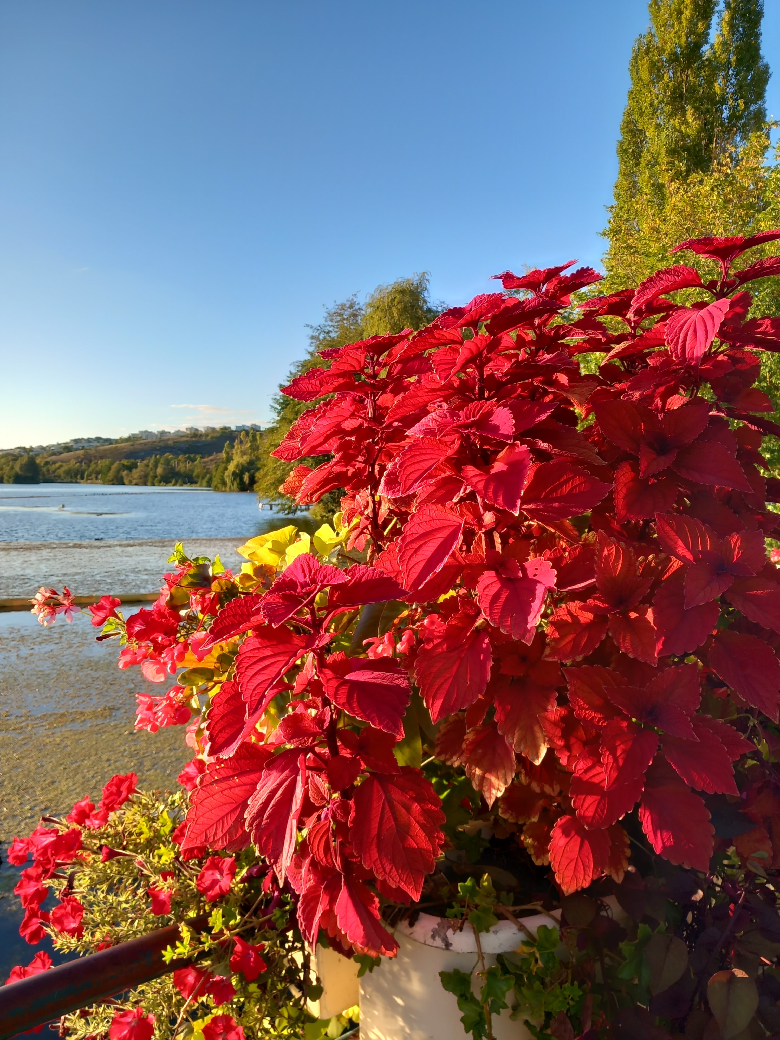 Photo n° 1 de l'avis de Cabeau.a fait le 08/10/2022 à 21:59
