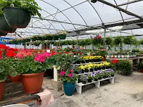 Gary's Garden Center - Car repair in Lynchburg, VA, Lynchburg - Rated 4.8/5