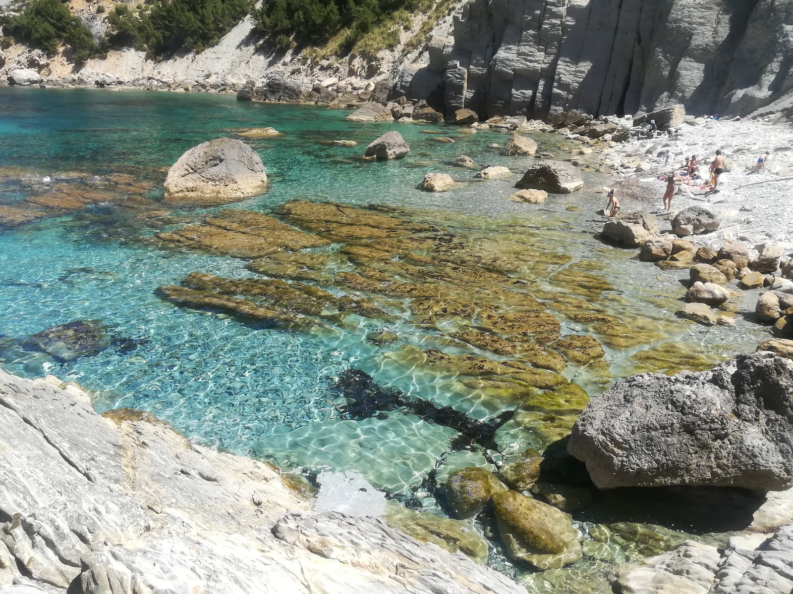Photo of Cala Boquer with blue pure water surface