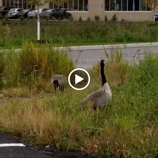 Invitation Printing Service «White House Custom Colour», reviews and photos, 2840 Lone Oak Pkwy, Eagan, MN 55121, USA