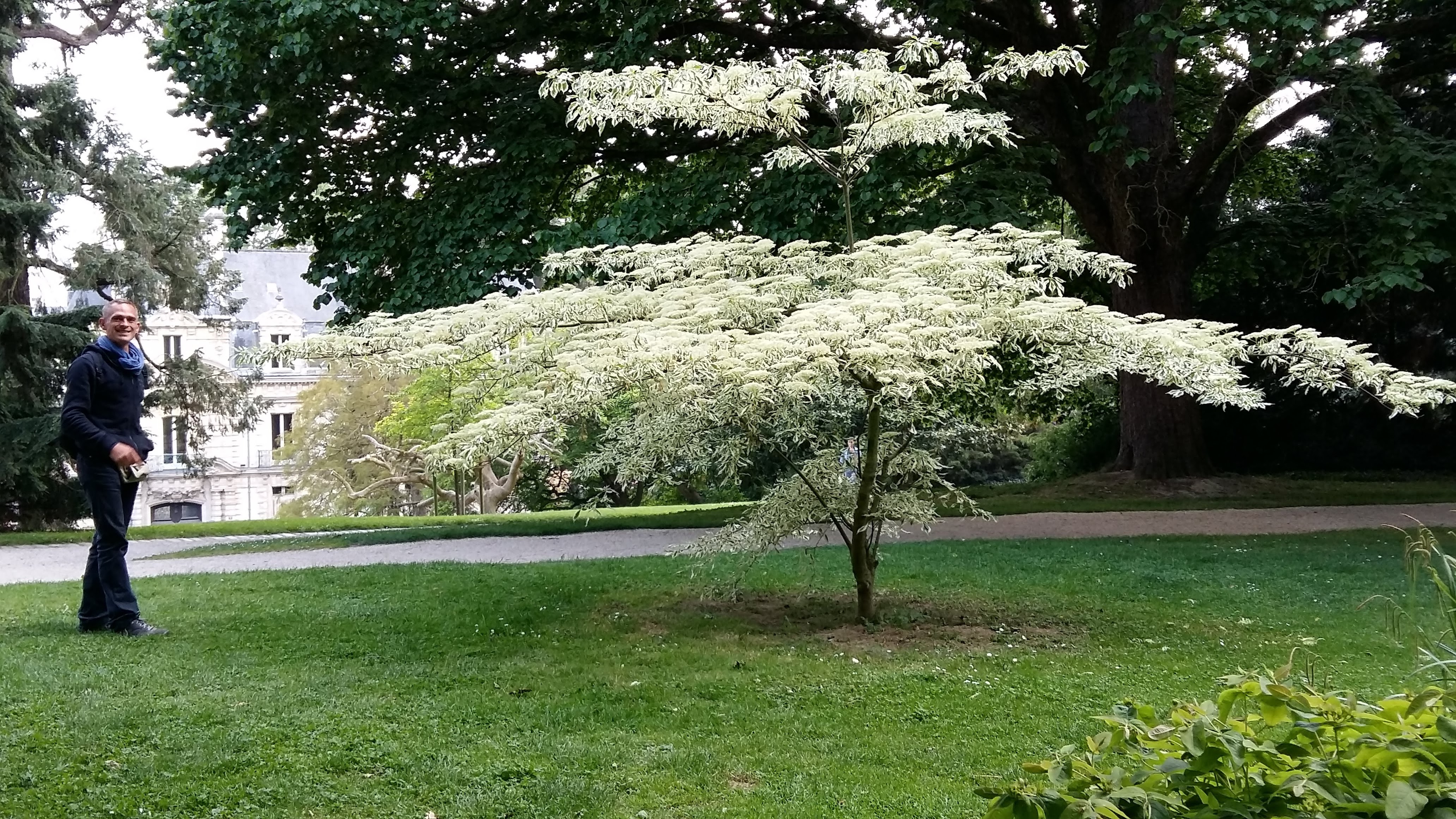 Photo n° 7 de l'avis de Voldor.5 fait le 19/05/2019 à 22:17