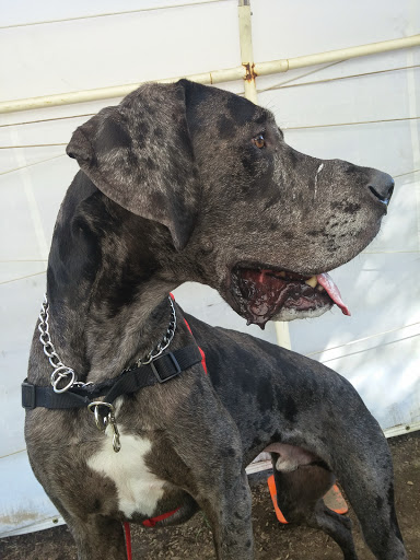 Park «Gabriel Park», reviews and photos, SW 45th Ave & Vermont Street, Portland, OR 97219, USA