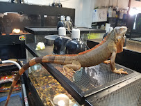 Aquatic N Exotic Inc. - Photo 8 - Car repair in Stuart, FL, Port St. Lucie