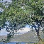 Photo n°1 de l'avis de Iryna.. fait le 26/10/2023 à 05:33 sur le  Le Fratte Ignoranti à Castel Gandolfo