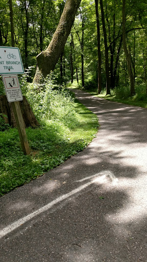 Park «Pilgrim Hill Local Park», reviews and photos, 1615 E Randolph Rd, Silver Spring, MD 20904, USA