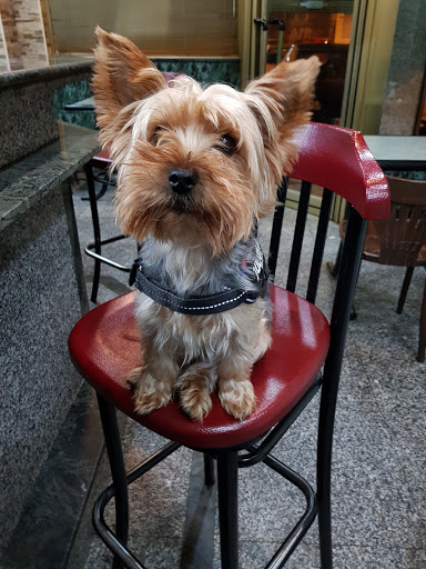 Clínica Veterinaria Tu-can en Leganés
