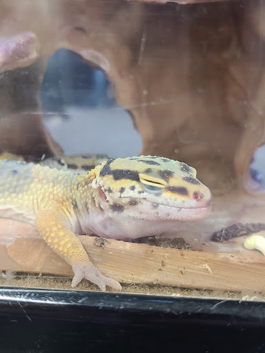 Pet Supply Store «Petco Animal Supplies», reviews and photos, 6425 Keizer Station Blvd, Keizer, OR 97303, USA