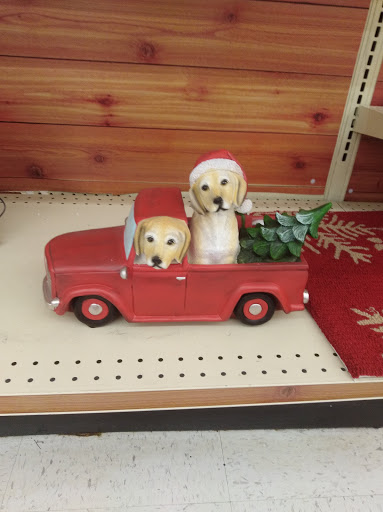 Discount Store «Big Lots», reviews and photos, 3905 Winston Ave, Covington, KY 41015, USA