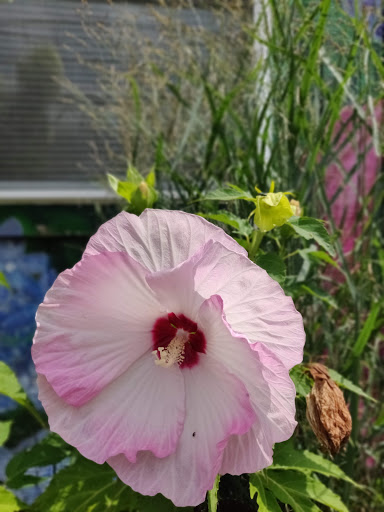 Garden Center «Quality Gardens», reviews and photos, 409 PA-228, Valencia, PA 16059, USA