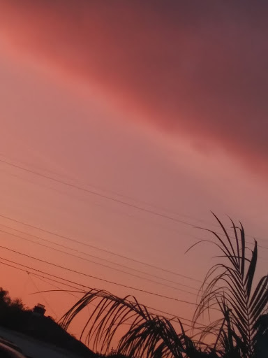 Donut Shop «Happy Bagel & Donuts», reviews and photos, 9926 Lakewood Blvd, Downey, CA 90240, USA